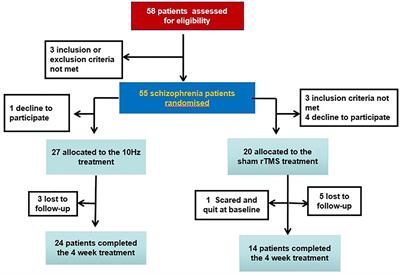 Repetitive transcranial magnetic stimulation for psychiatric symptoms in long-term hospitalized veterans with schizophrenia: A randomized double-blind controlled trial